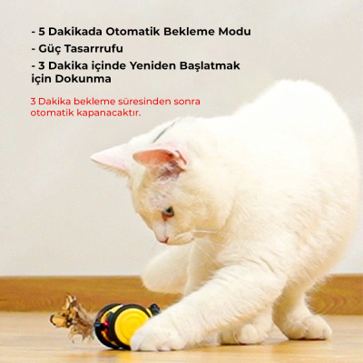 Hareketli Kedi Oyuncağı - 7